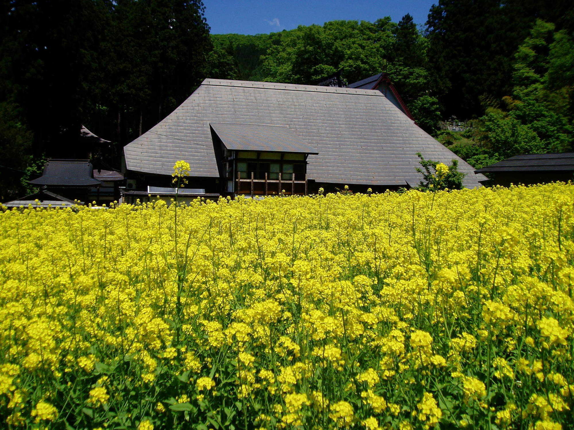 Lodge Matsuya Nozawaonsen Exterior photo
